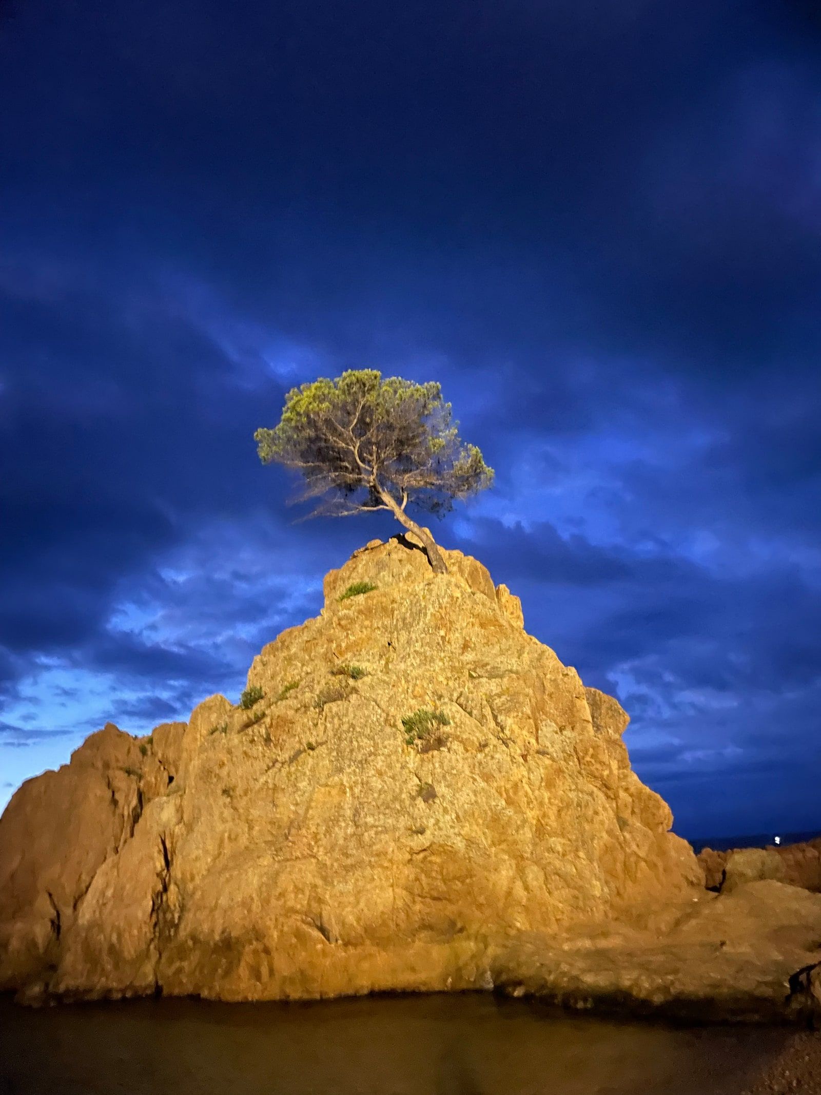 En ensam tall på en klippa i kvällsljus mot en djupblå himmel vid kusten i Tossa de Mar.